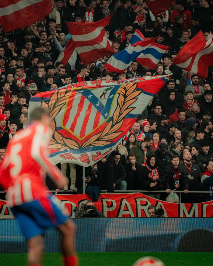 动季节性节 动季节性节